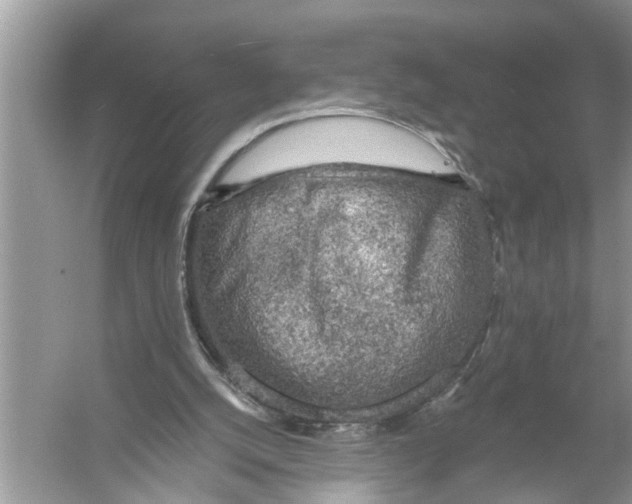 X0000055990056200509162302