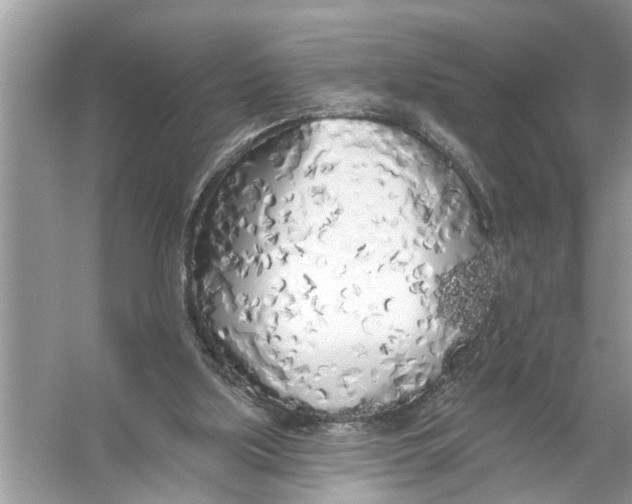 X0000055990059200509162302