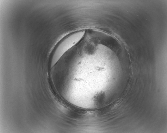 X0000055990060200509162302