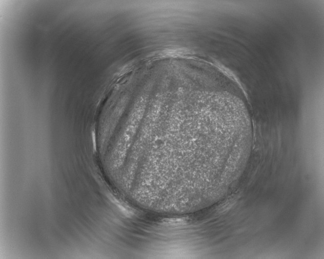 X0000055990061200509162302