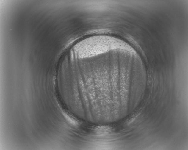 X0000055990063200509162302