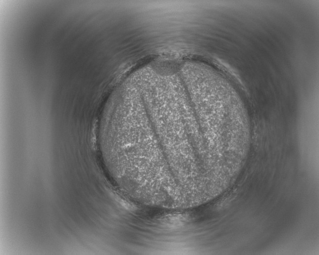 X0000055990065200509162302