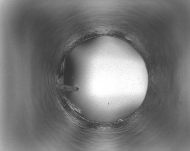 X0000055990066200509162302