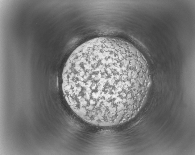 X0000055990067200509162302