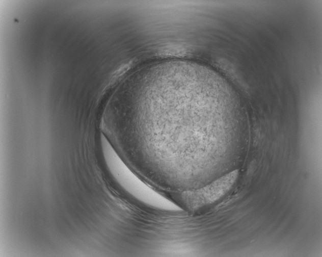 X0000055990068200509162302