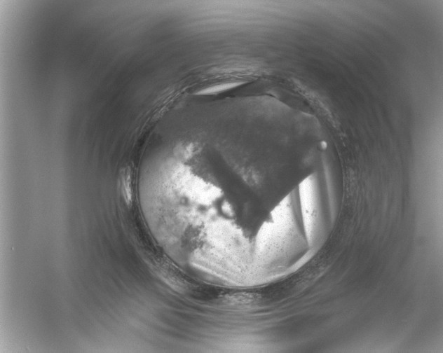 X0000055990069200509162302