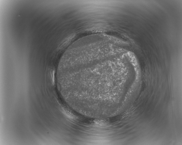 X0000055990070200509162302