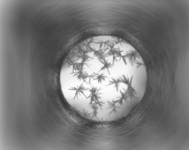 X0000055990071200509162302