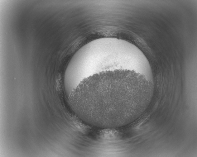 X0000055990073200509162302