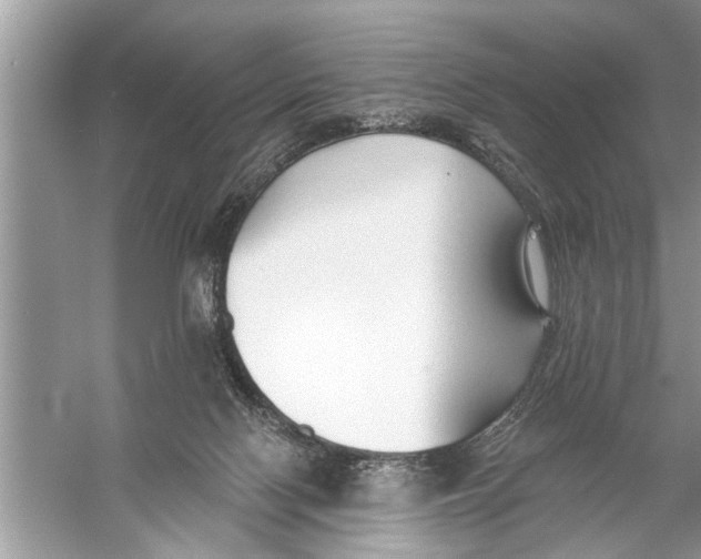 X0000055990074200509162302