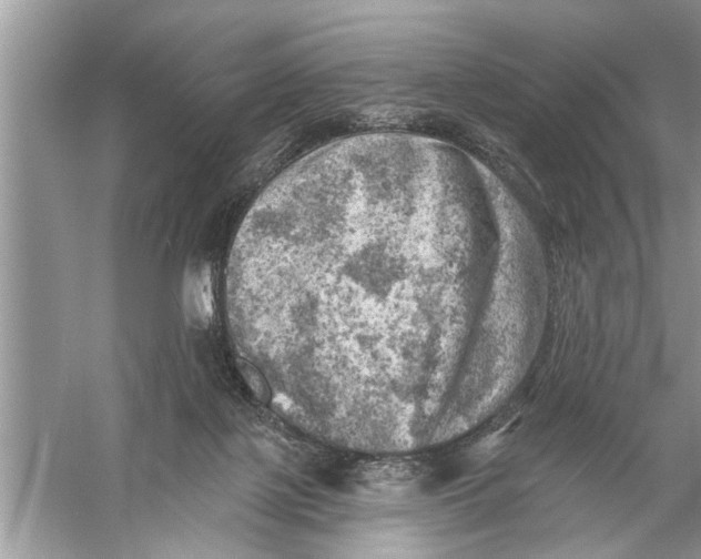 X0000055990075200509162302