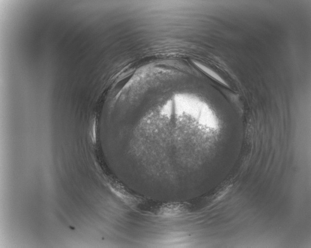 X0000055990076200509162302