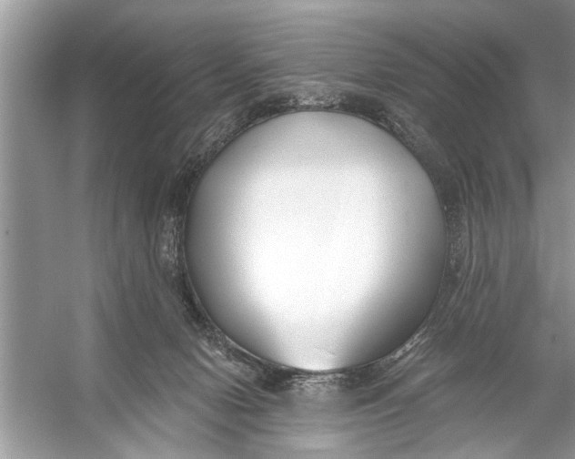 X0000055990078200509162302