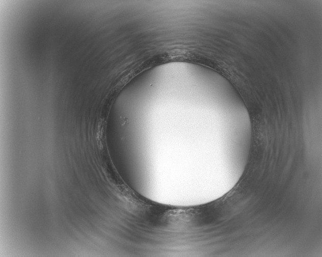 X0000055990082200509162302