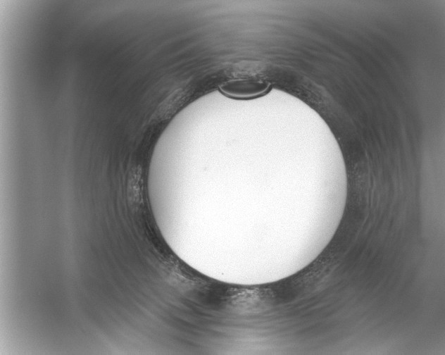 X0000055990083200509162303