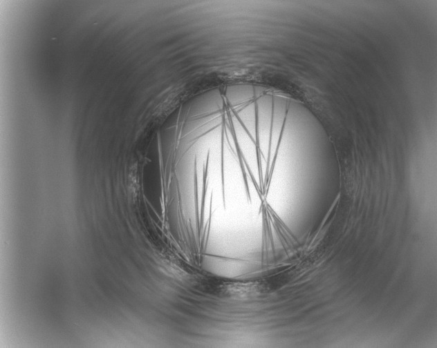 X0000055990085200509162303