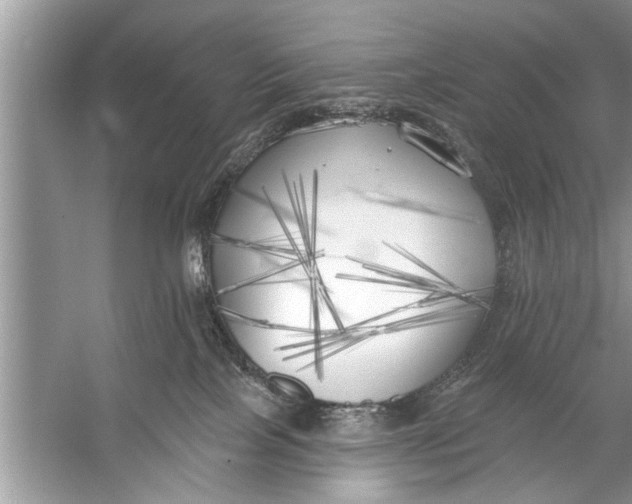 X0000055990089200509162303