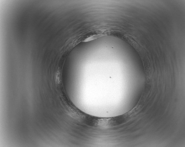 X0000055990090200509162303