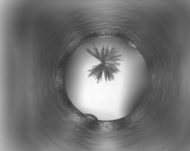 X0000055990091200509162303