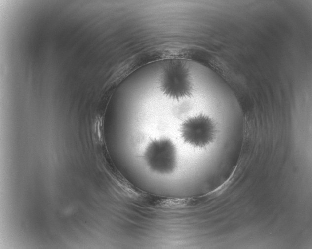 X0000055990094200509162303