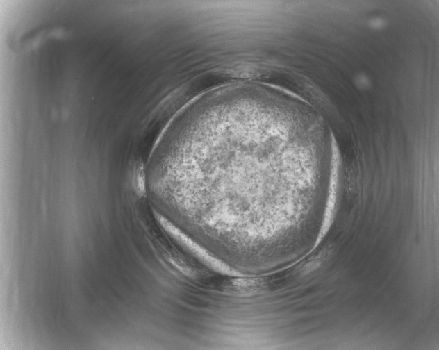 X0000055990095200509162303