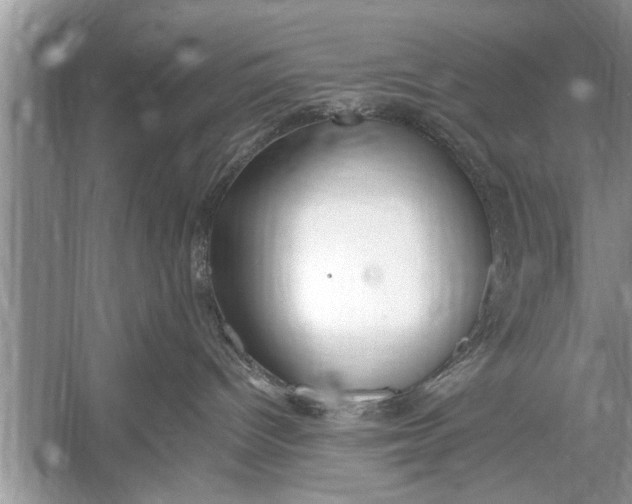 X0000055990096200509162303