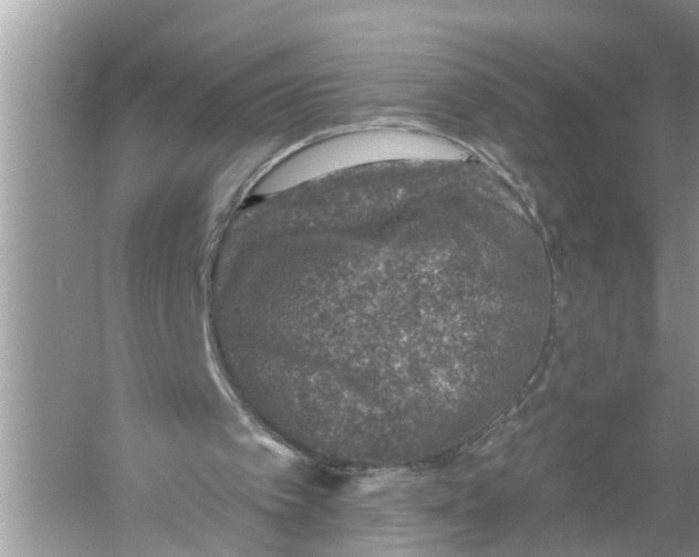 X0000055990097200509162302