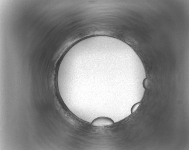 X0000055990098200509162302