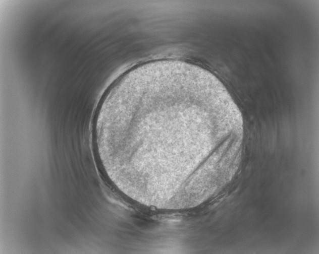 X0000055990100200509162302