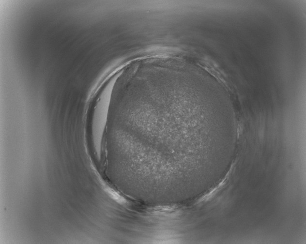 X0000055990101200509162302