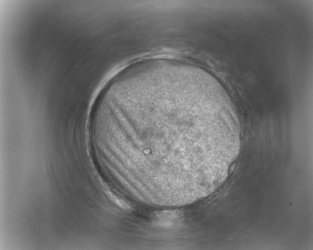 X0000055990102200509162302