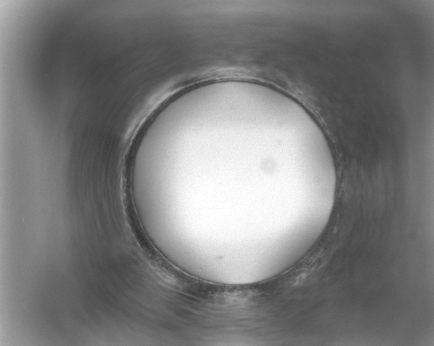 X0000055990103200509162302