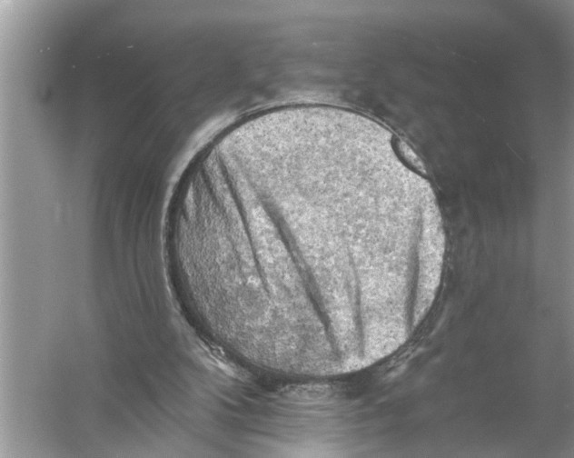 X0000055990104200509162302