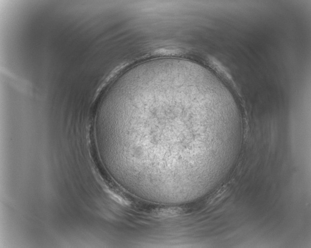 X0000055990106200509162302