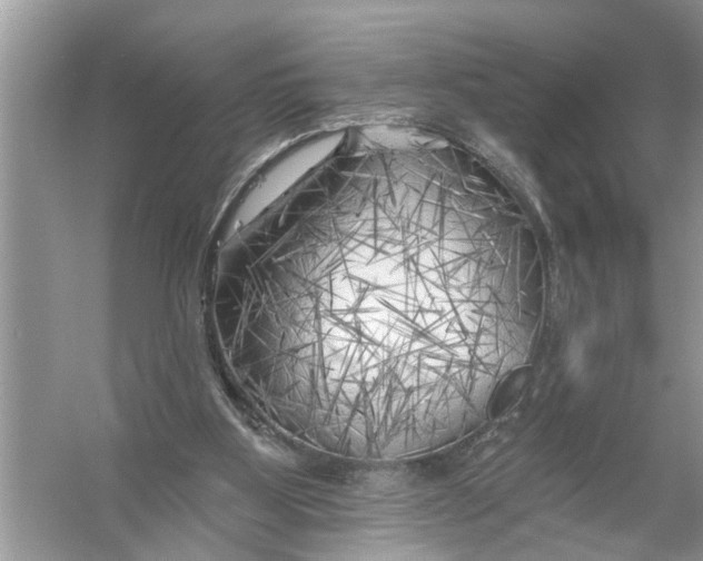 X0000055990107200509162302