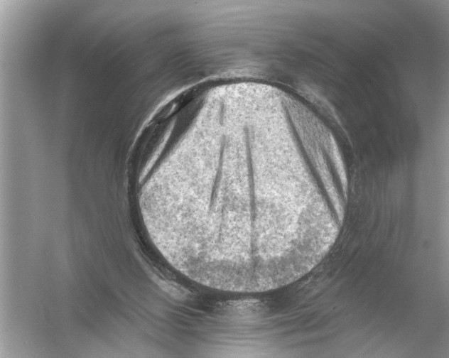 X0000055990108200509162302