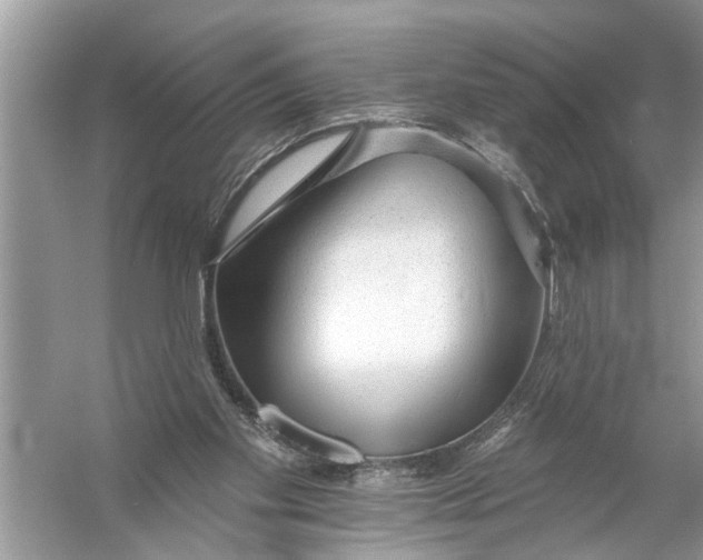 X0000055990109200509162302