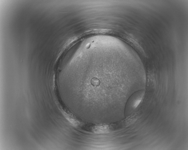 X0000055990110200509162302