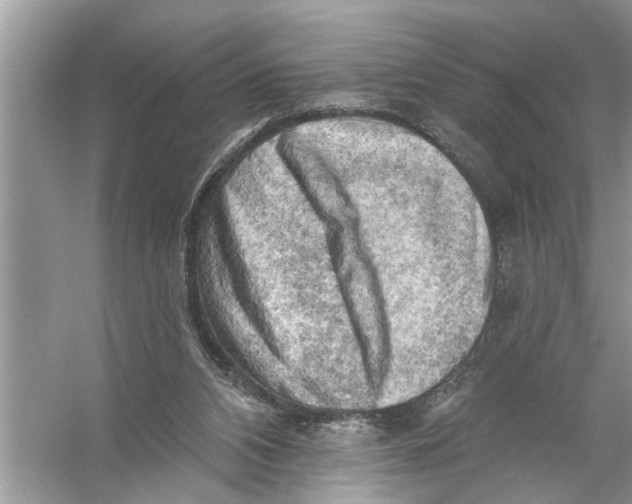 X0000055990112200509162302