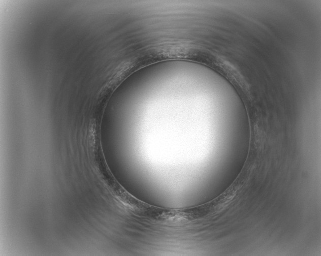 X0000055990113200509162302