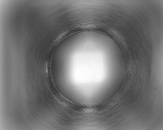 X0000055990115200509162302