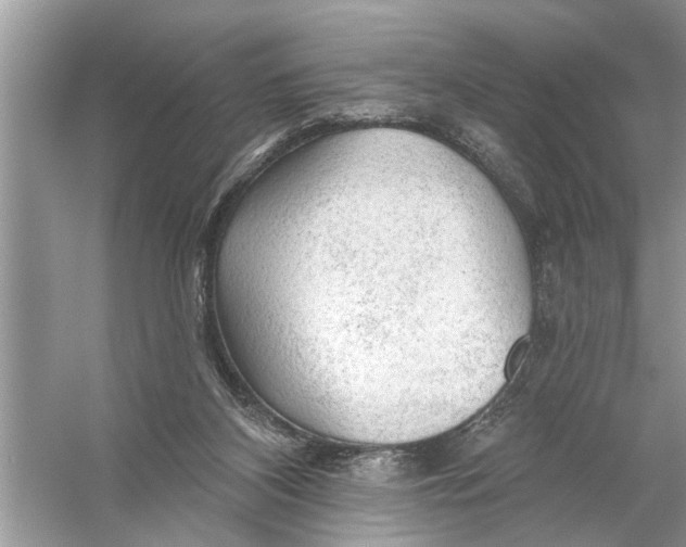 X0000055990116200509162302