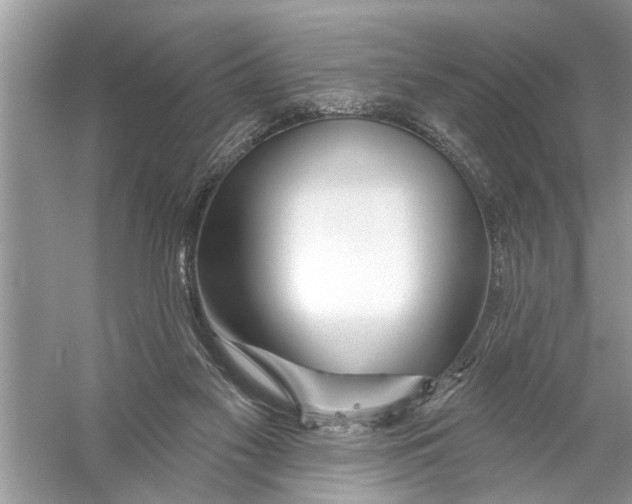 X0000055990117200509162302