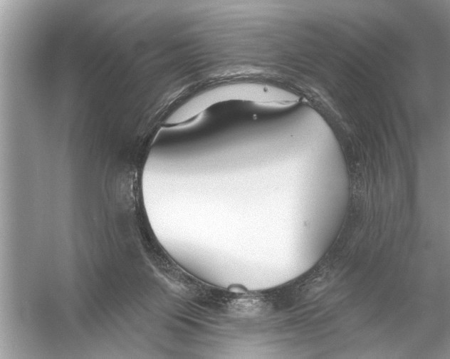 X0000055990119200509162302