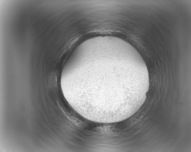 X0000055990120200509162302