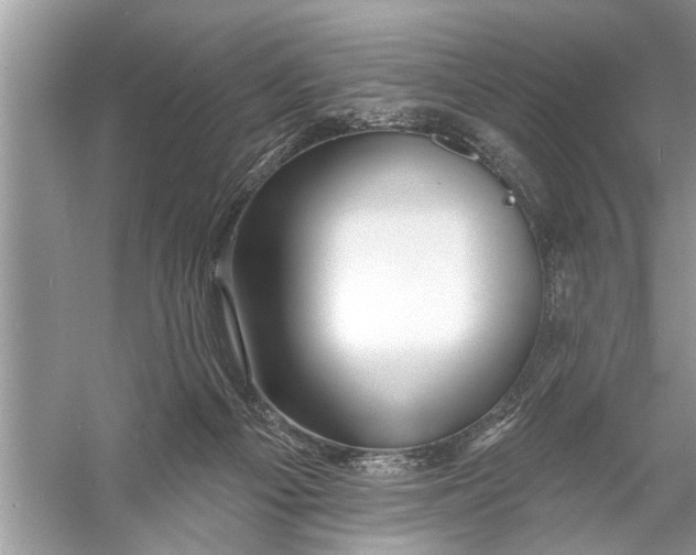 X0000055990121200509162302