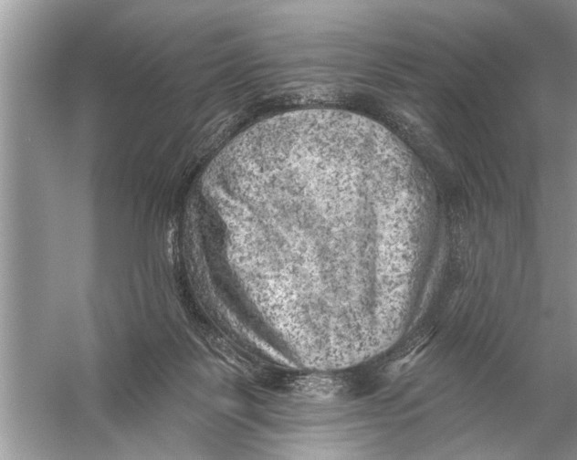 X0000055990123200509162301