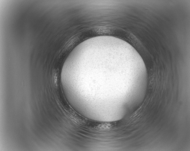 X0000055990124200509162301