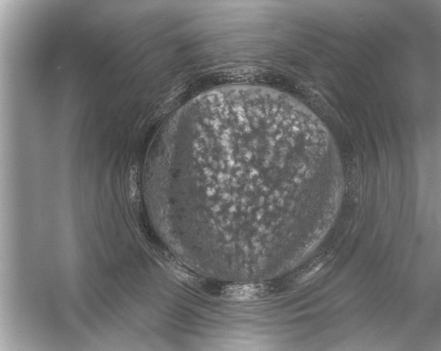 X0000055990131200509162301