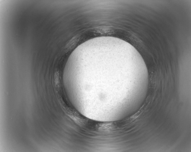 X0000055990132200509162301